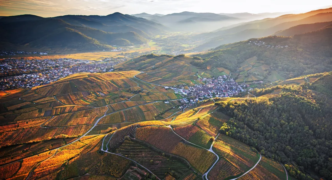 De l'Alsace au Japon : itinéraire d’un vin voyageur