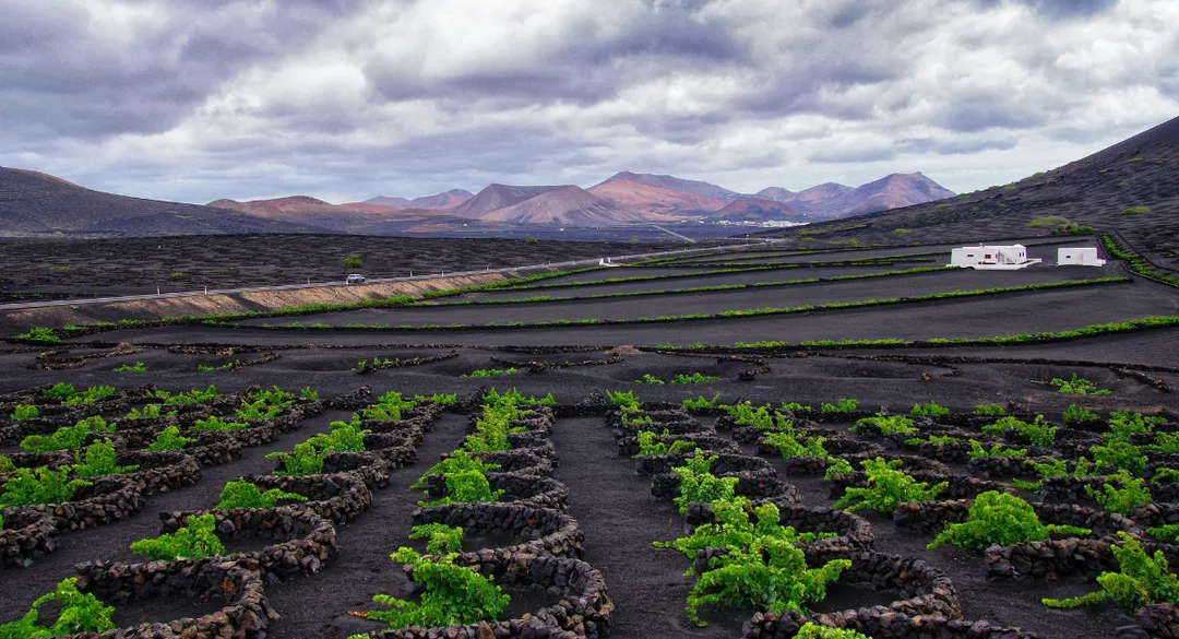 Les vignobles les plus extrêmes au monde