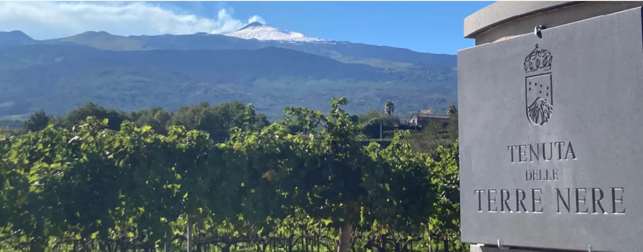 Vente confidentielle d'octobre - Tenuta delle Terre Nere - Italie (Sicile)