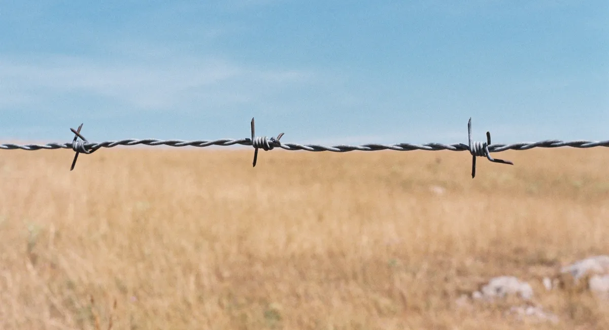 Un petit parfum de différence