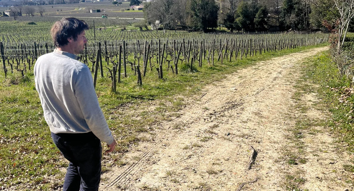 Le regard d’un vigneron indépendant sur le bordelais : entre crise, standardisation et quête d’authenticité
