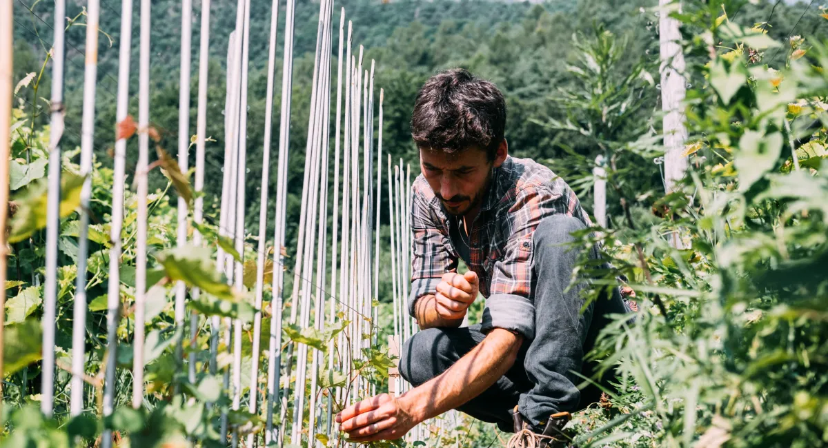 Magiques hybrides - Rencontre avec Thomas Niedermayr