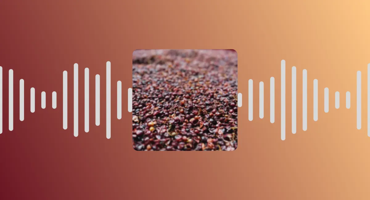 🎙 Saga "Plus belle la vigne" - épisode 6 : les vinif'