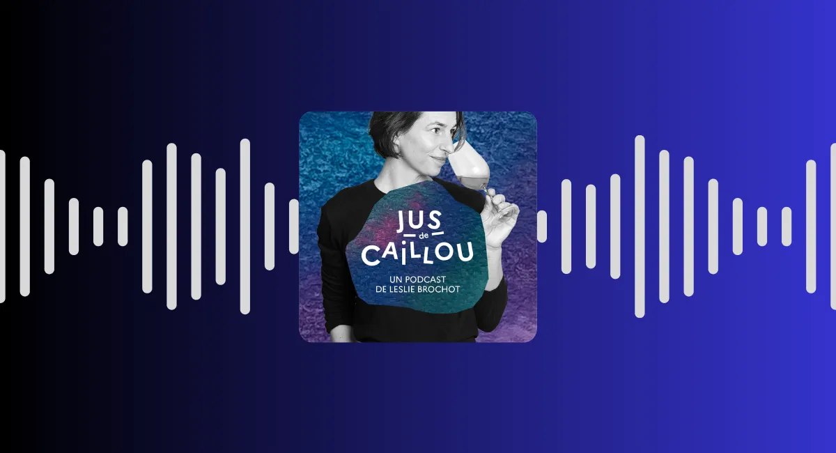 🎙 Jus de caillou - Quelques bases de géologie!