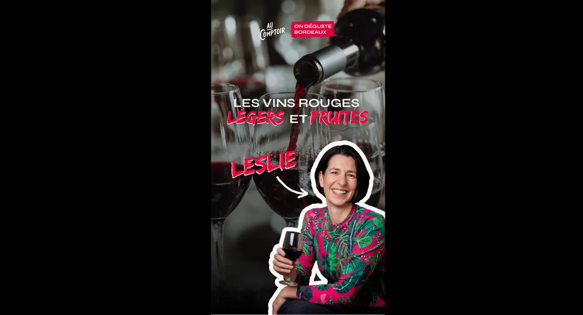 🍷 On déguste Bordeaux - Les vins rouges légers et fruités